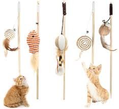 Cat Toy